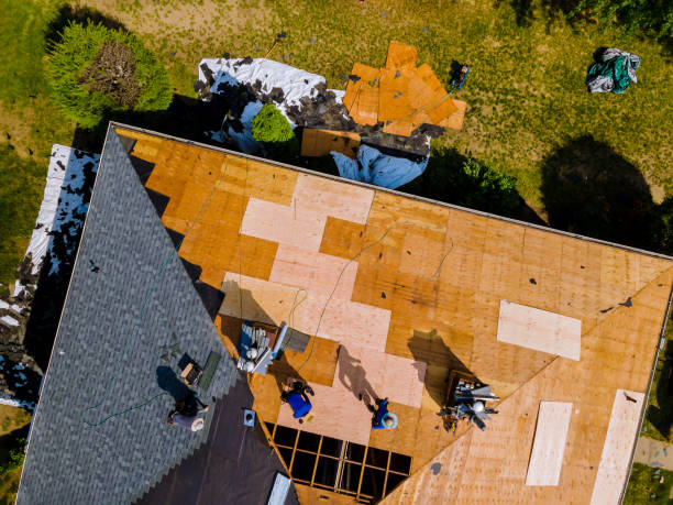 Best Metal Roofing Contractor  in Salem, OH